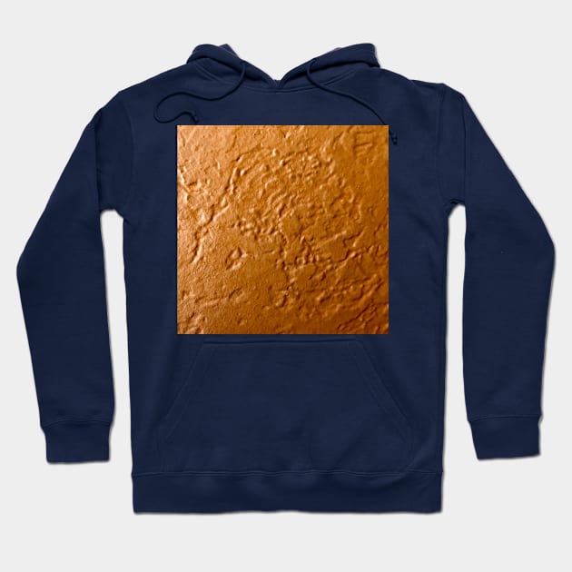 Pumpkin Pie, dark orange textured painting Hoodie by djrunnels